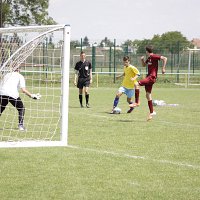 IMG 0790